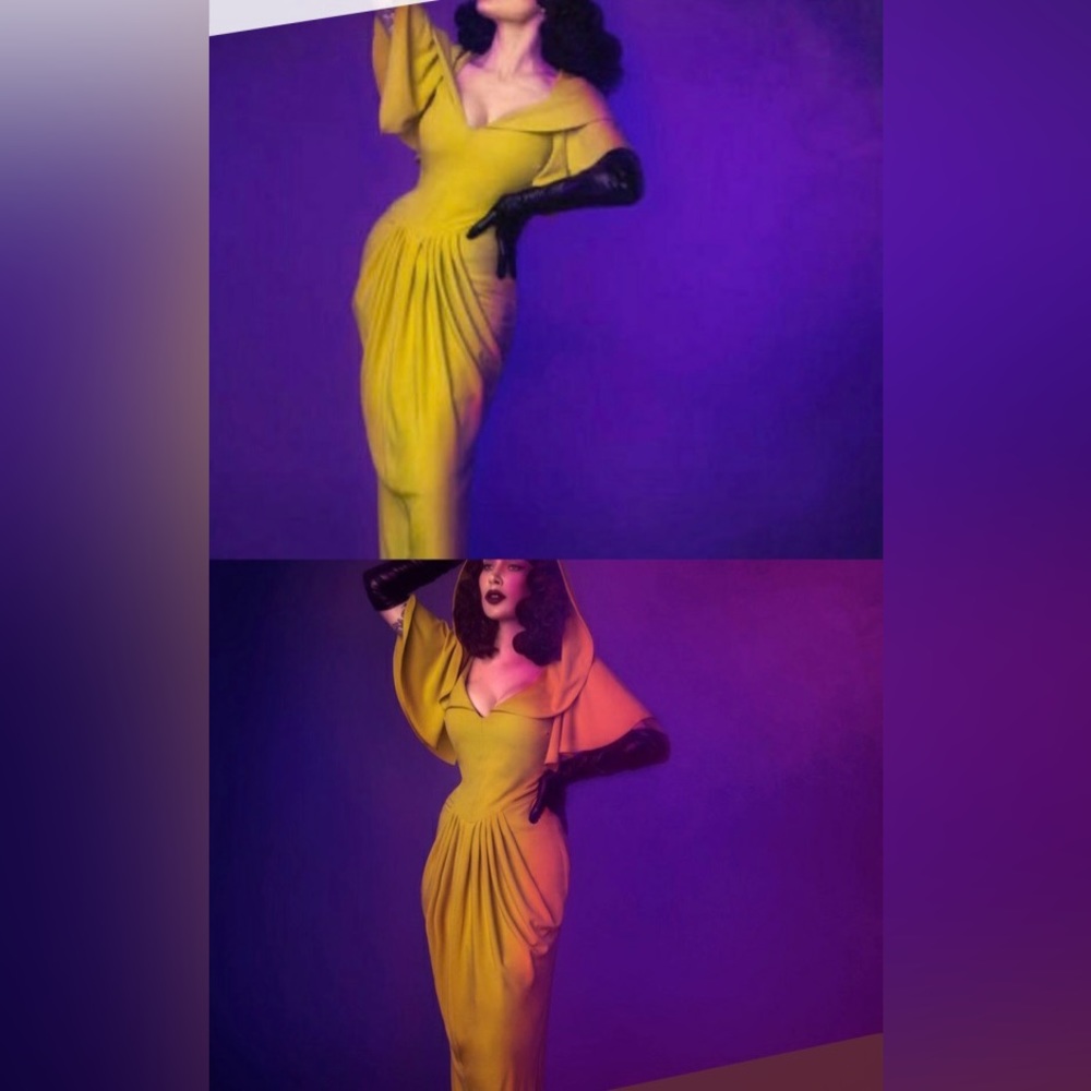 NWT 👻 Micheline Pitt x Unique Vintage Zhora Hooded gown RARE FIND